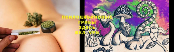 прущий лед Аркадак