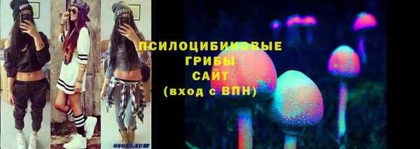 МДПВ Армянск