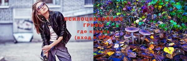 МДПВ Армянск