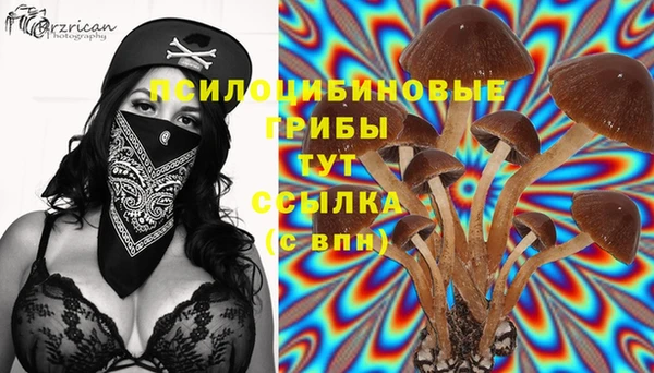 таблы Арсеньев