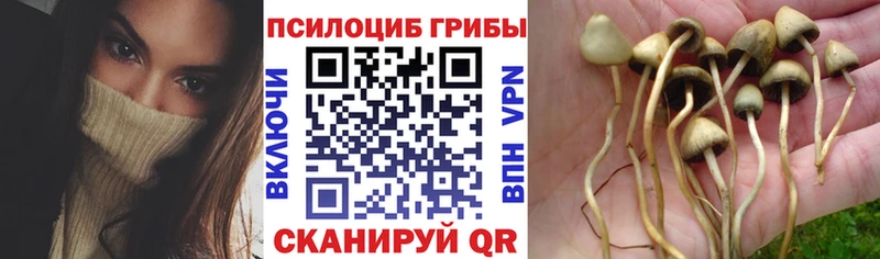 Псилоцибиновые грибы Magic Shrooms  Игарка 